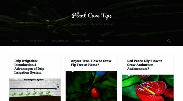 plantcaretips.in