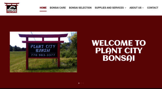 plantcitybonsai.com