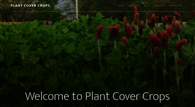 plantcovercrops.com