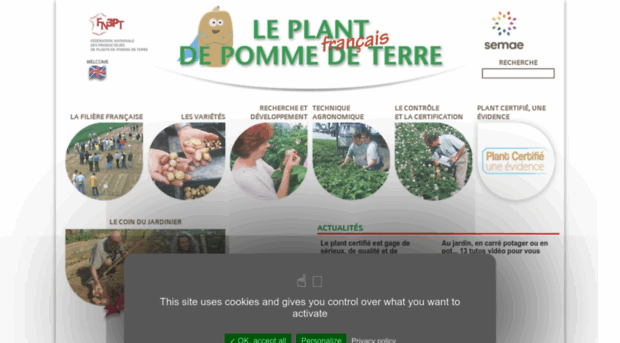plantdepommedeterre.org