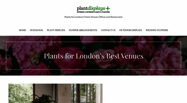 plantdisplaysplus.com