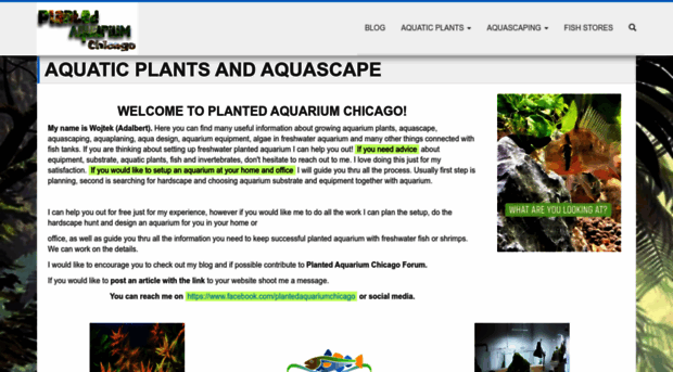 plantedaquarium-chicago.com