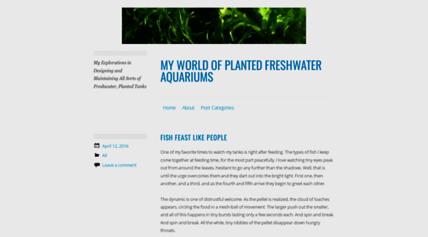 plantedtankworld.com