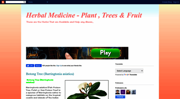 plantfruitstreesmedicineherbal.blogspot.com