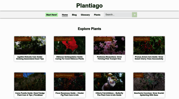 plantiago.com