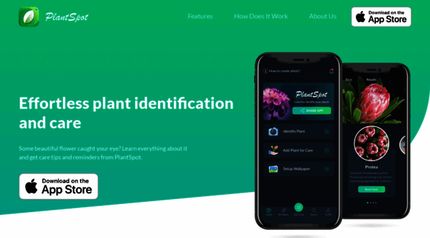 plantidentification.co