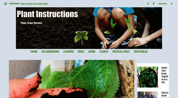 plantinstructions.com