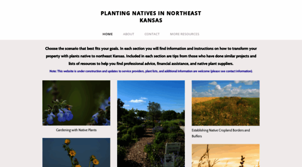 plantnativeks.weebly.com