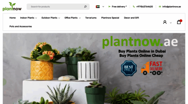 plantnow.ae