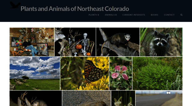 plants-animals-northeast-colorado.com