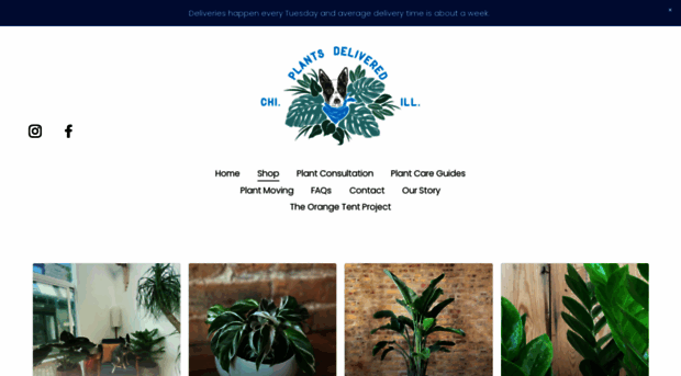 plantsdeliveredchicago.com