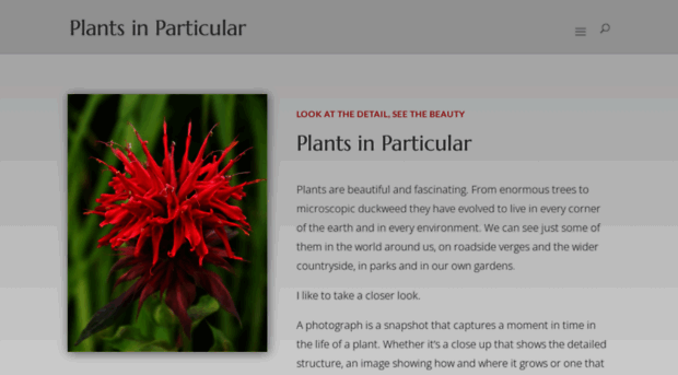 plantsinparticular.co.uk