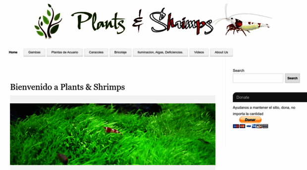 plantsnshrimps.com