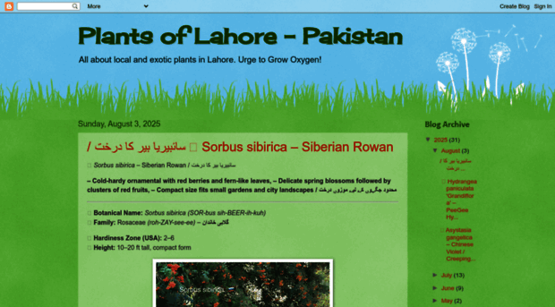 plantsoflahore.blogspot.com