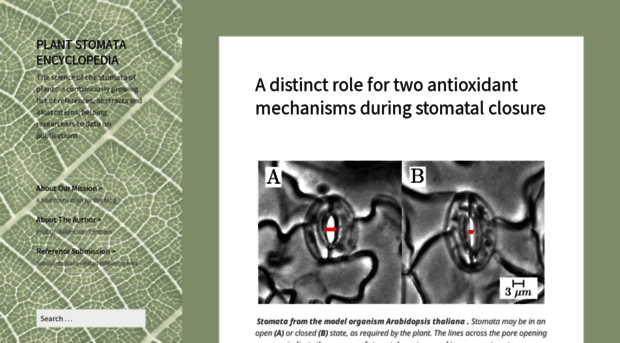 plantstomata.wordpress.com