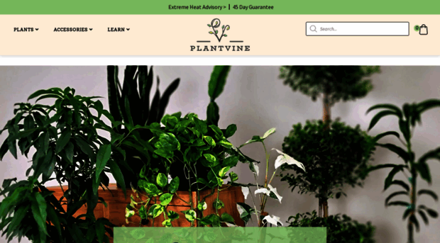 plantvine.com