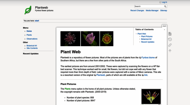 plantweb.co.za