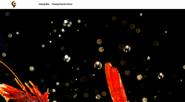 platedbyjetwing.com