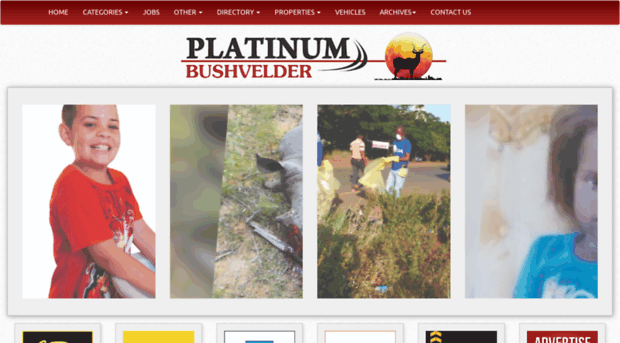 platinumbushvelder.co.za