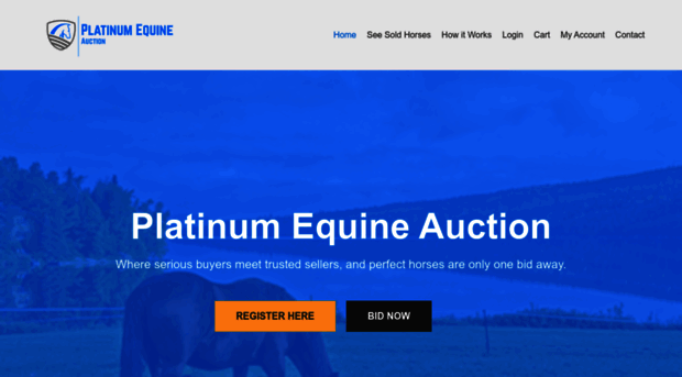 platinumequineauction.com