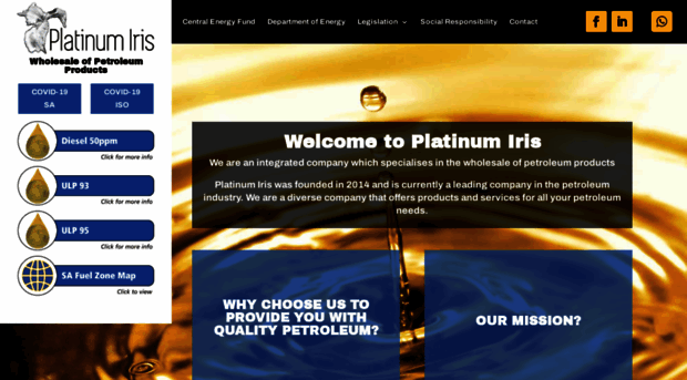 platinumiris.co.za