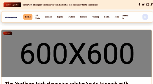 platinumpath.de