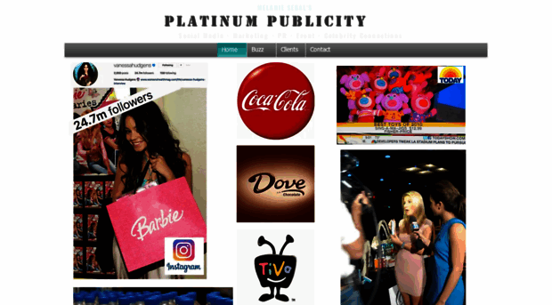 platinumpublicity.com