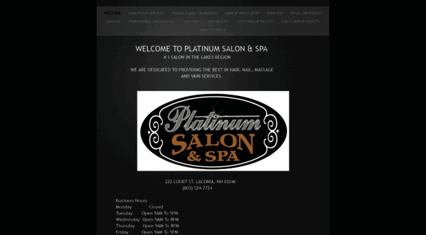 platinumsaloninc.com