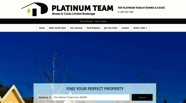 platinumteam.com