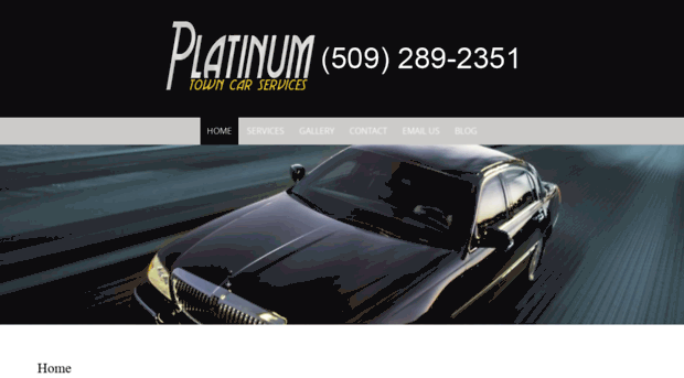 platinumtowncar.com