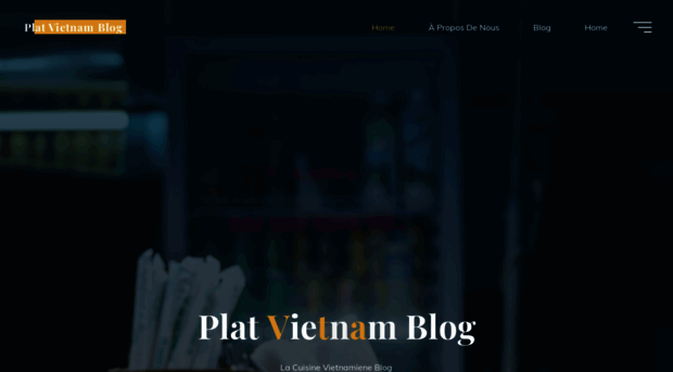 platvietnam.com