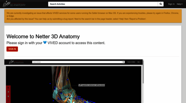 play.cyber-anatomy.com