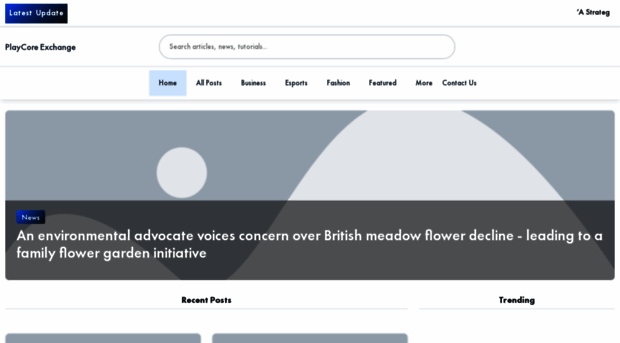 playcoreexchange.co.uk