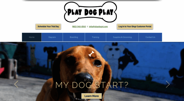 playdogvt.com