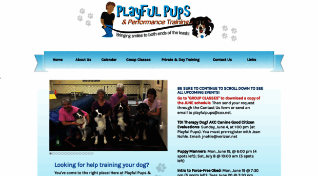 playfulpupstraining.com