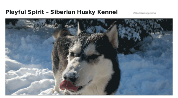 playfulspirit-huskykennel.com