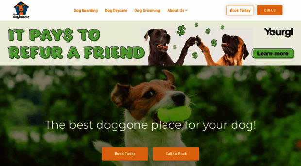 playinthedoghouse.com