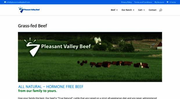 pleasantvalleybeef.com