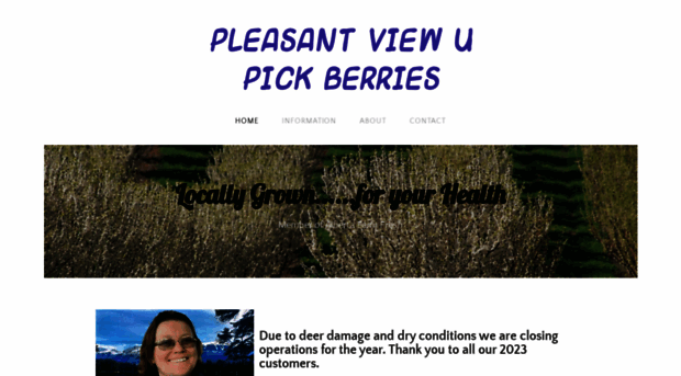 pleasantviewupickberries.com