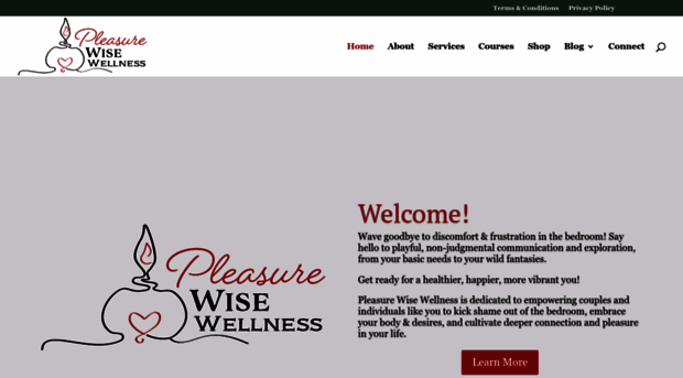 pleasure-wise.com
