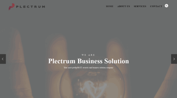 plectrumconsulting.net