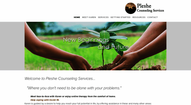 pleshecounselingservices.com