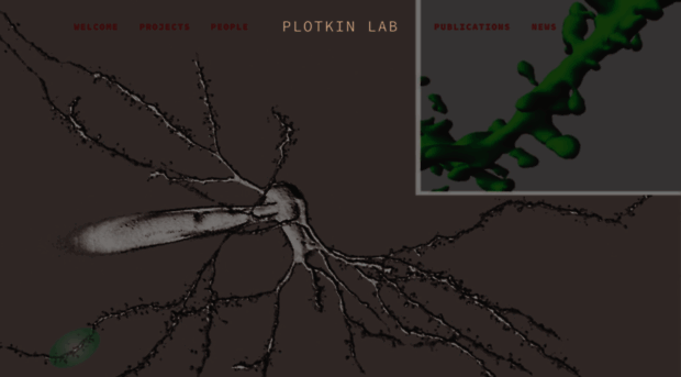 plotkinlab.com