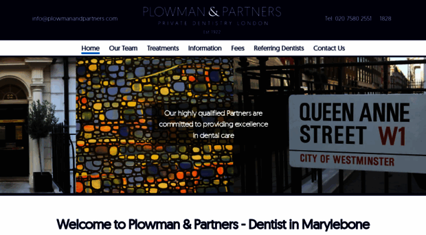 plowmanandpartners.com