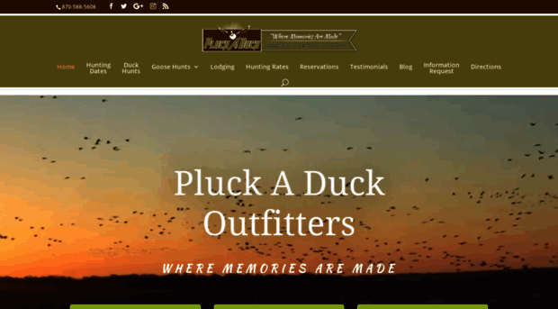 pluck-a-duck.com