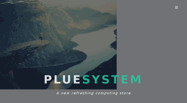 pluesystem.com