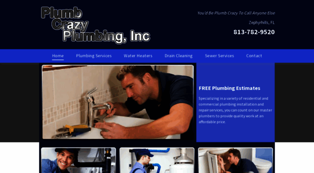 plumbcrazyplumber.com