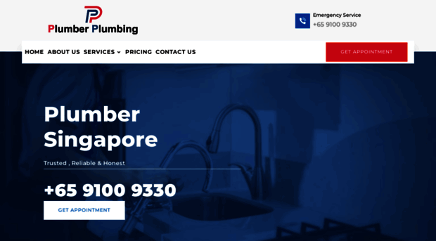 plumberplumbing.com.sg