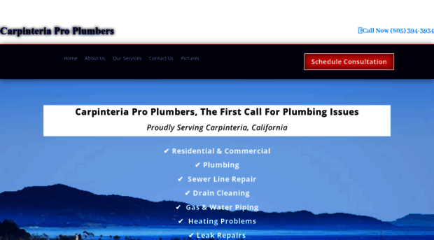 plumberscarpinteria.com