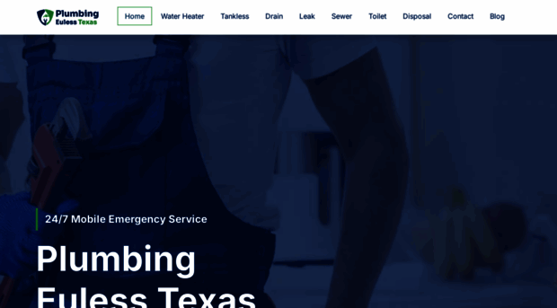 plumbingeulesstexas.com